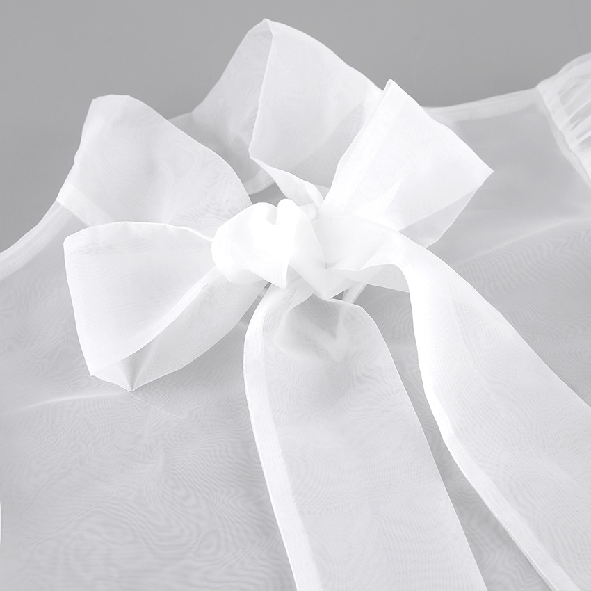 New Elegant Mesh Transparent B - Mesh Top Layering 评论和价格